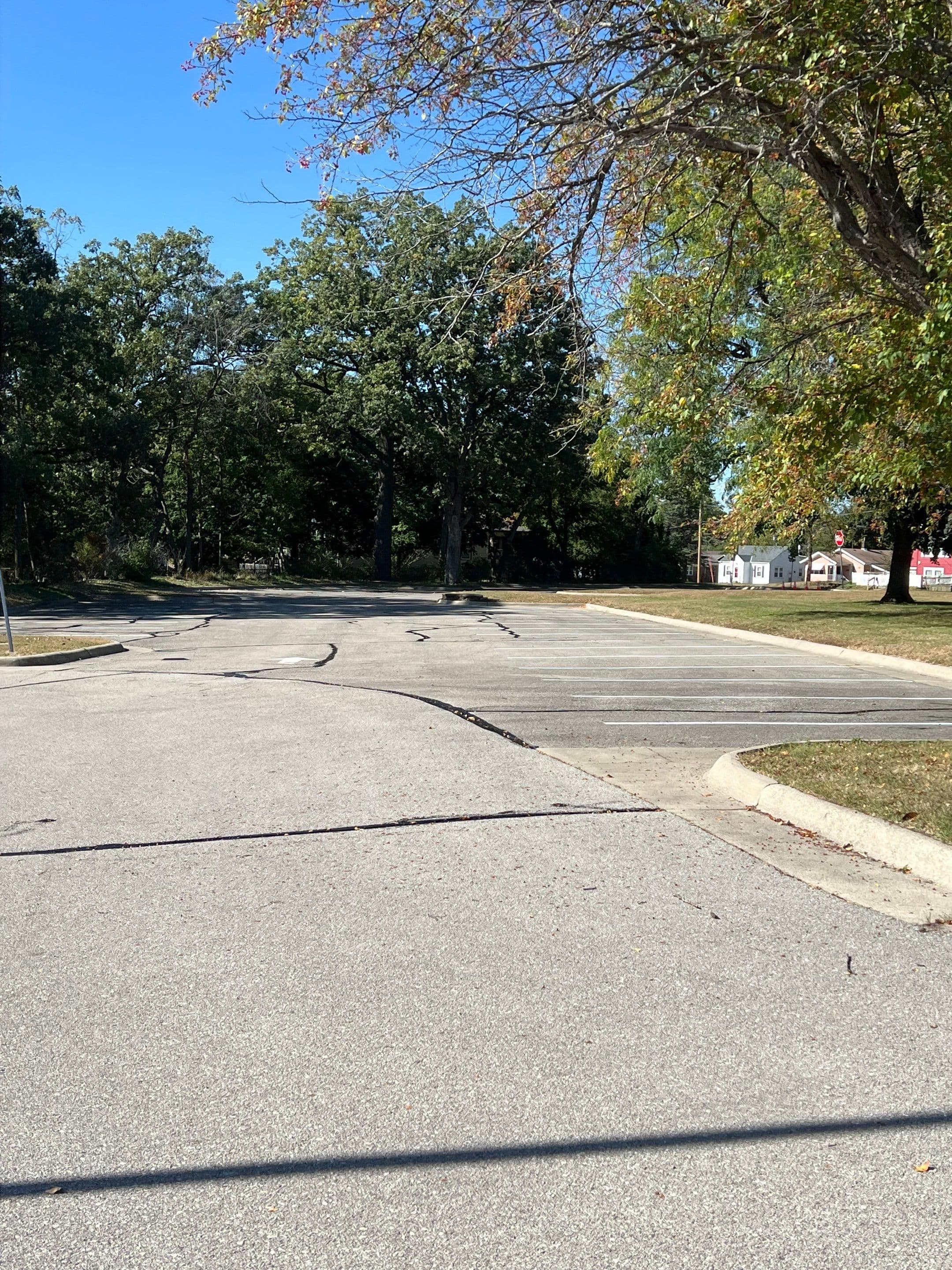 Crack Filling photo 2